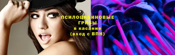 гашик Абаза