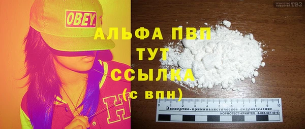 гашик Абаза
