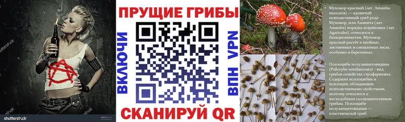 Галлюциногенные грибы GOLDEN TEACHER  купить наркотик  площадка Telegram  Комсомольск-на-Амуре 